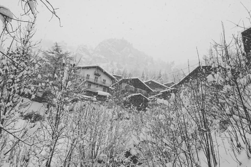 Mountain House With Two Barns And A Garden Planay